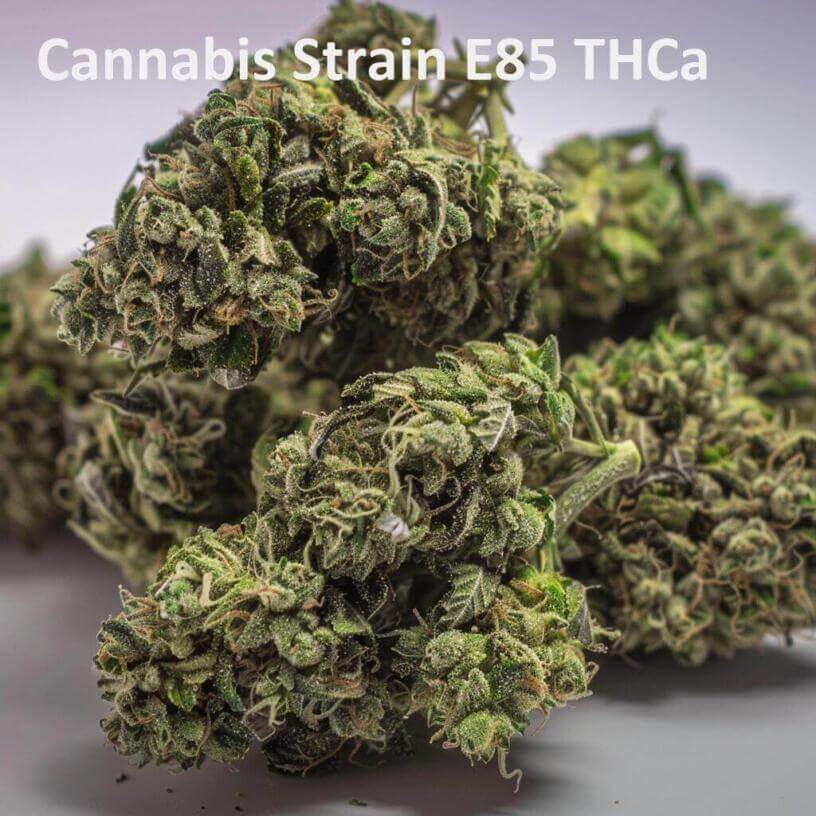 Cannabis Strain E85 THCa 