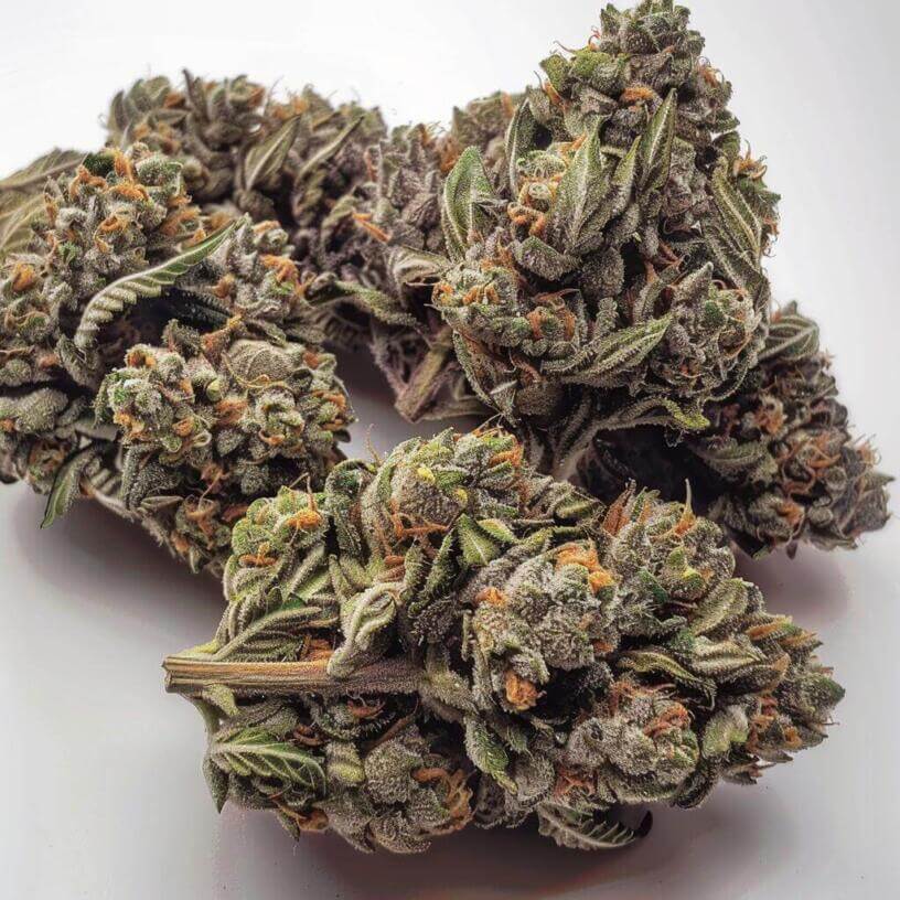 Cannabis Strain Grape Kush THCa 