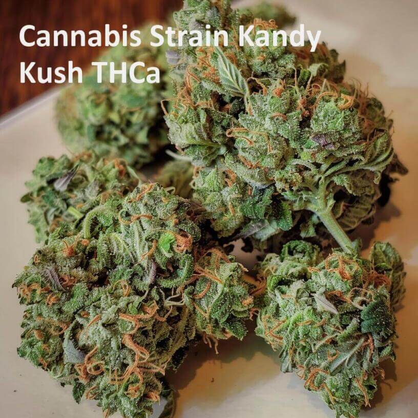 Cannabis Strain Kandy Kush THCa 