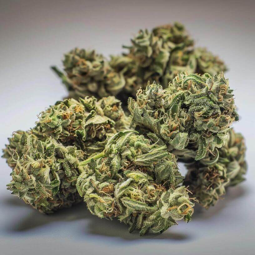Cannabis Strain OG #18 THCa 