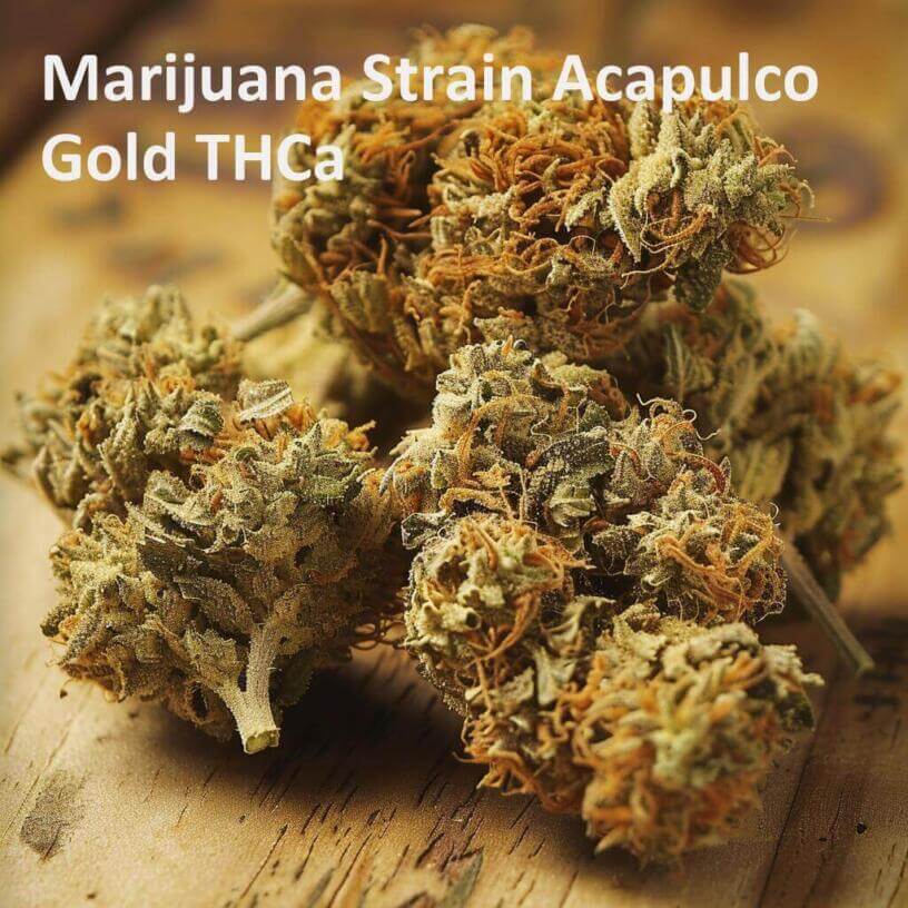 Marijuana Strain Acapulco Gold THCa 