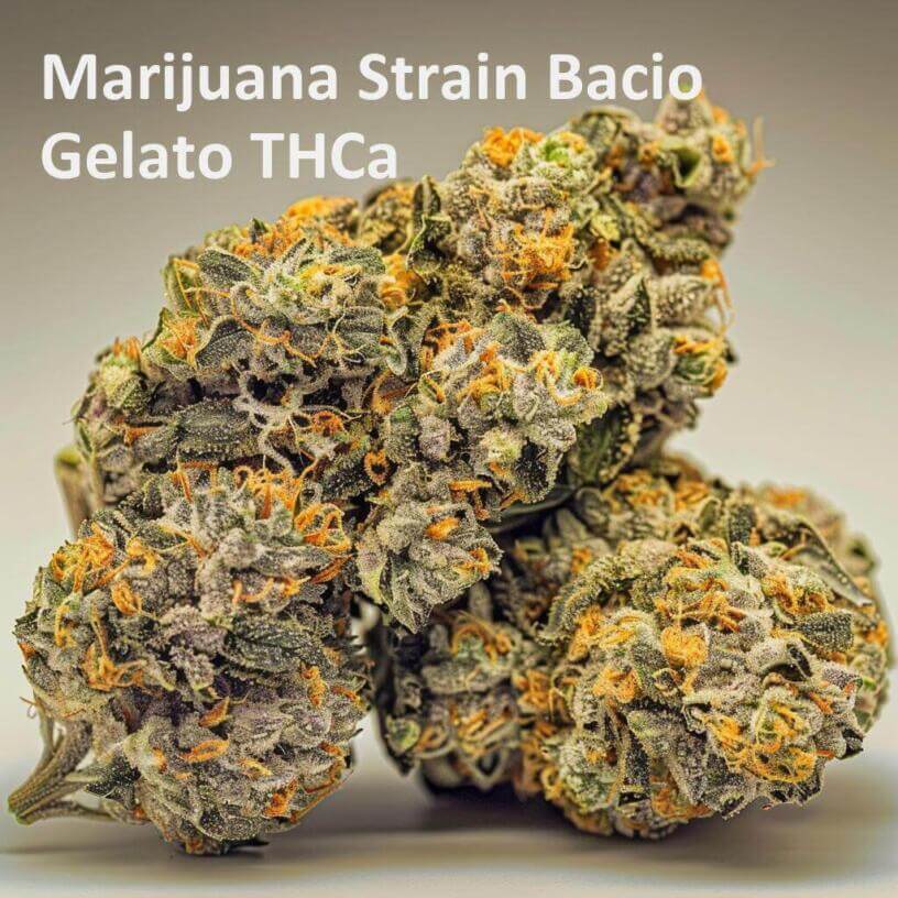Marijuana Strain Bacio Gelato THCa 