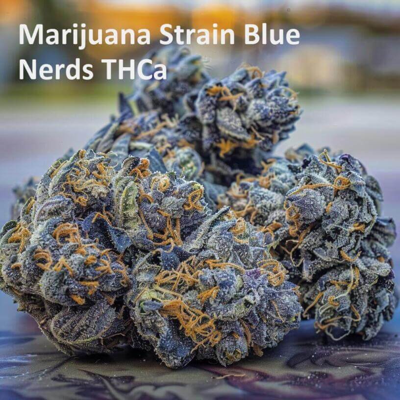 Marijuana Strain Blue Nerds THCa 