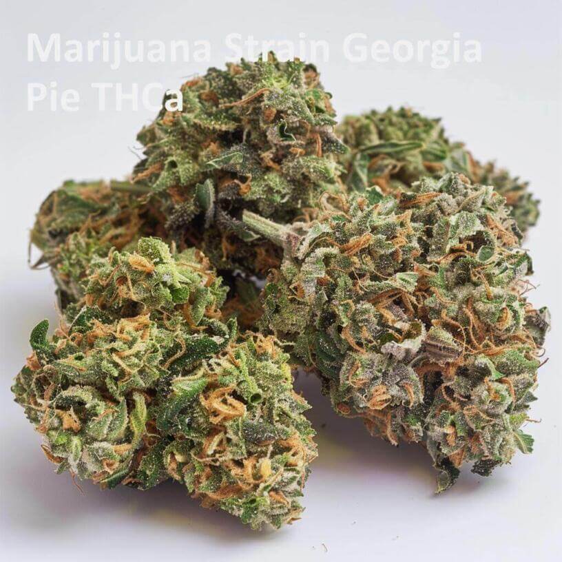 Marijuana Strain Georgia Pie THCa 