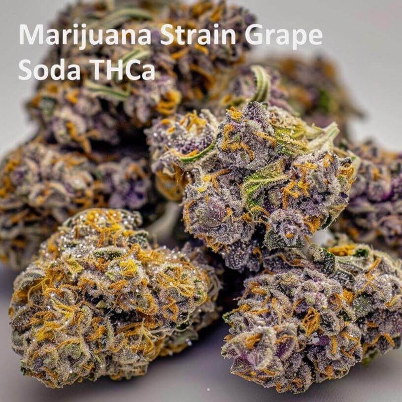 Marijuana Strain Grape Soda THCa 