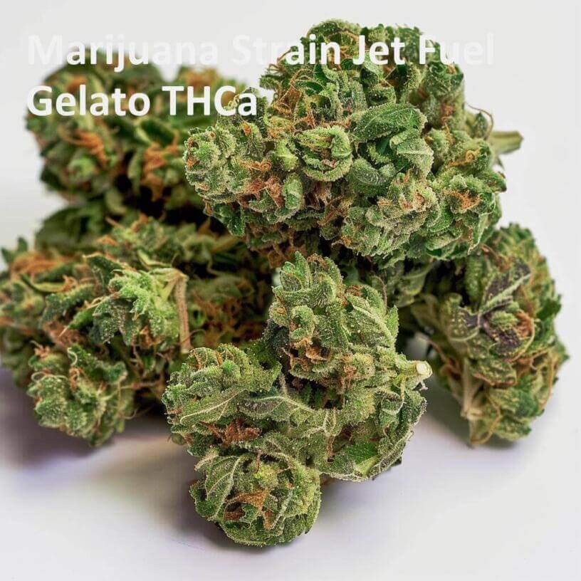 Marijuana Strain Jet Fuel Gelato THCa 