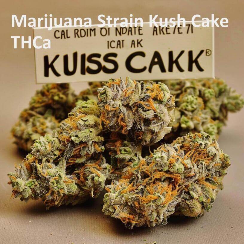 Marijuana Strain Kush Cake THCa 