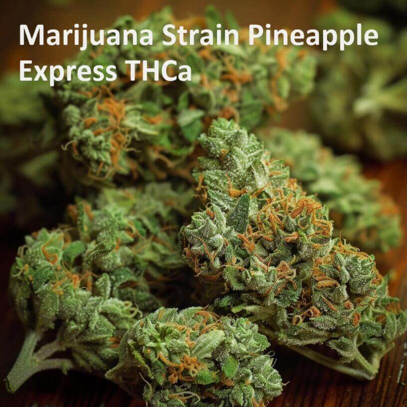 Marijuana Strain Pineapple Express THCa 