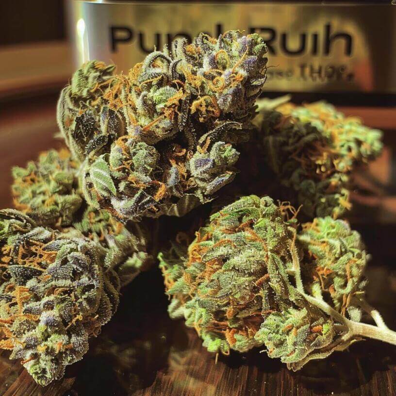 Marijuana Strain Platinum Punch THCa 
