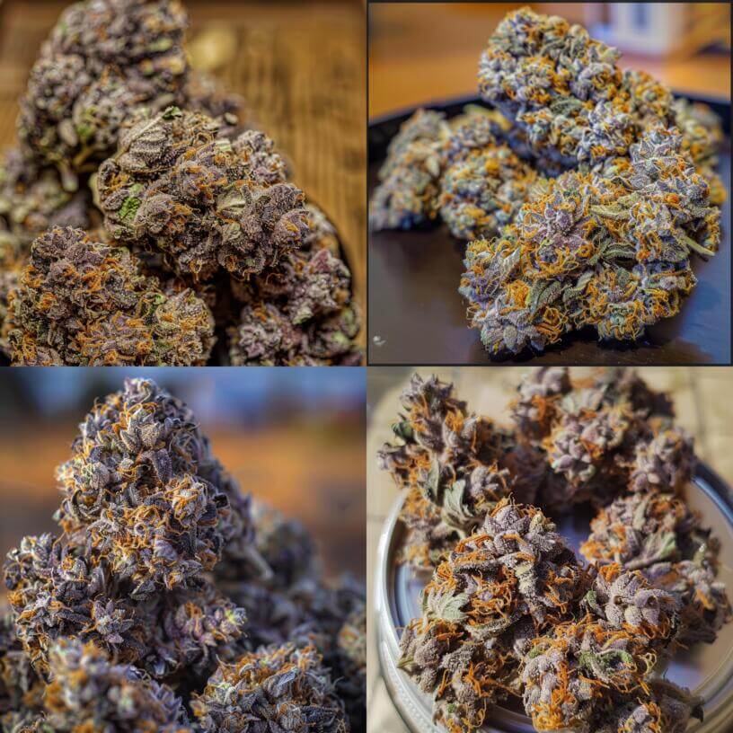Marijuana Strain Purple MAC THCa 