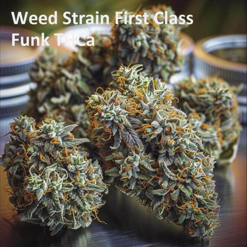 Weed Strain First Class Funk THCa 