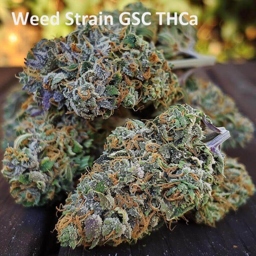 Weed Strain GSC THCa 