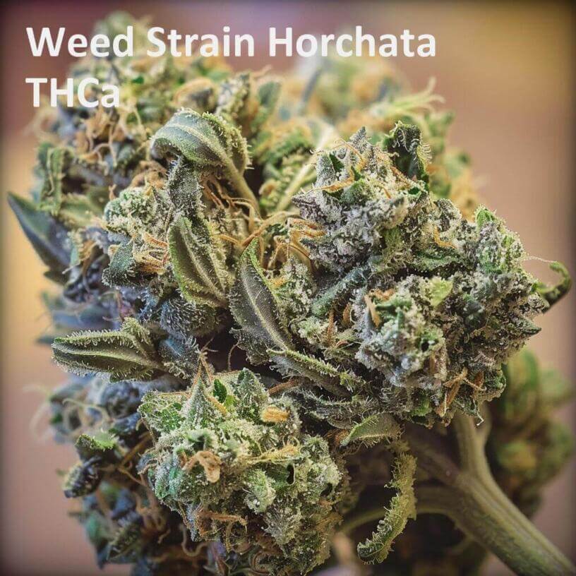 Weed Strain Horchata THCa 
