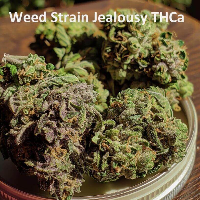 Weed Strain Jealousy THCa 