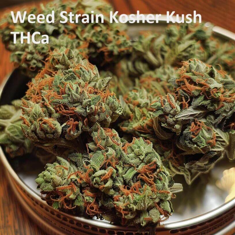 Weed Strain Kosher Kush THCa 