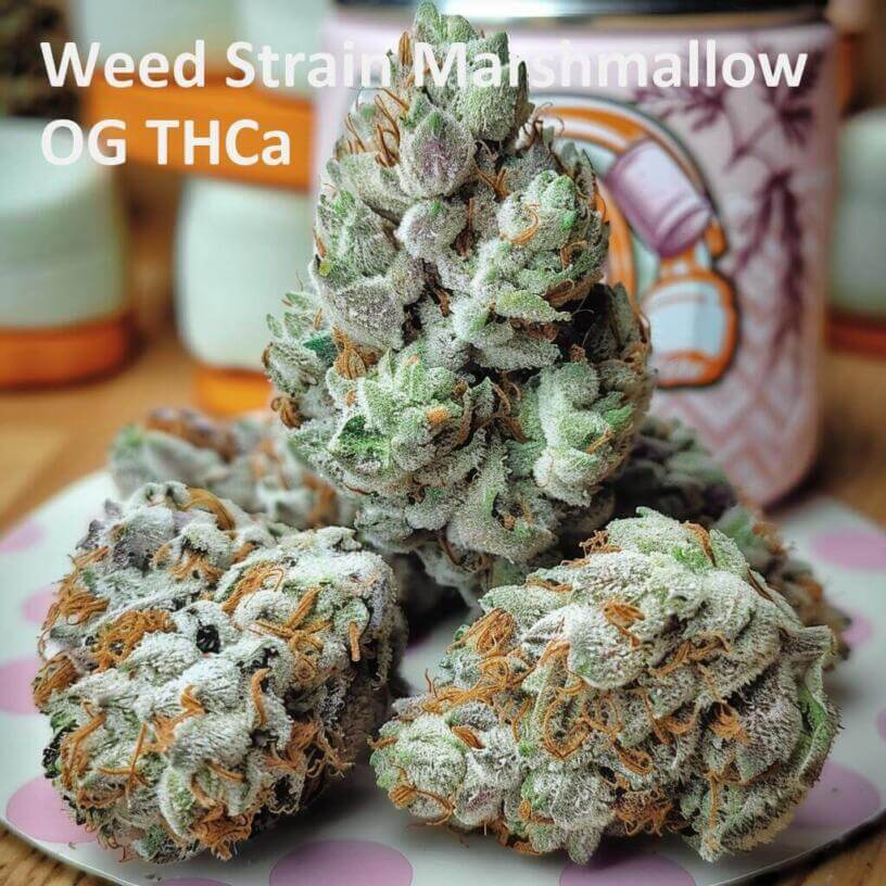 Weed Strain Marshmallow OG THCa 