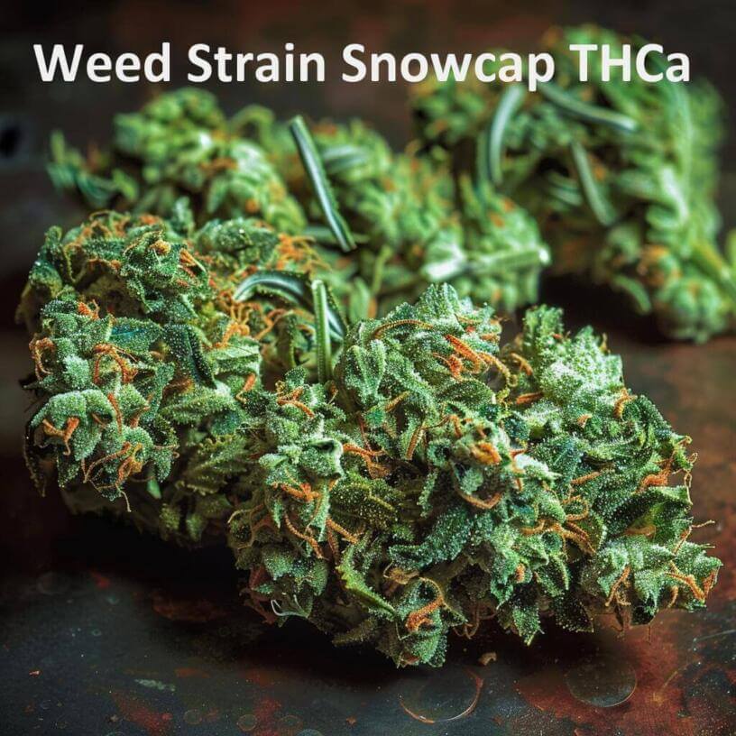 Weed Strain Snowcap THCa 